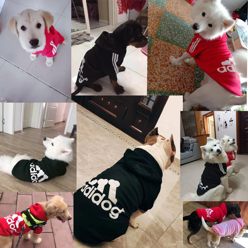 Adidas Dog Sweatshirt – All Sizes