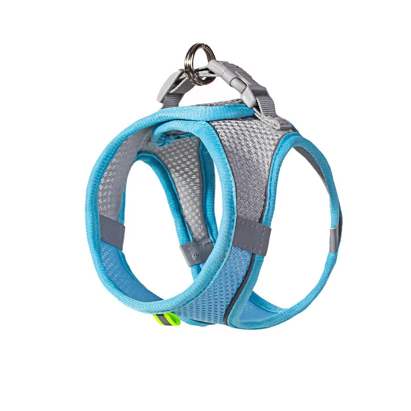 Adjustable Puppy & Cat Harness Set