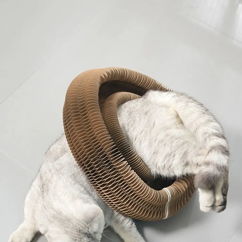 Magic Cat Scratching Board with Ball