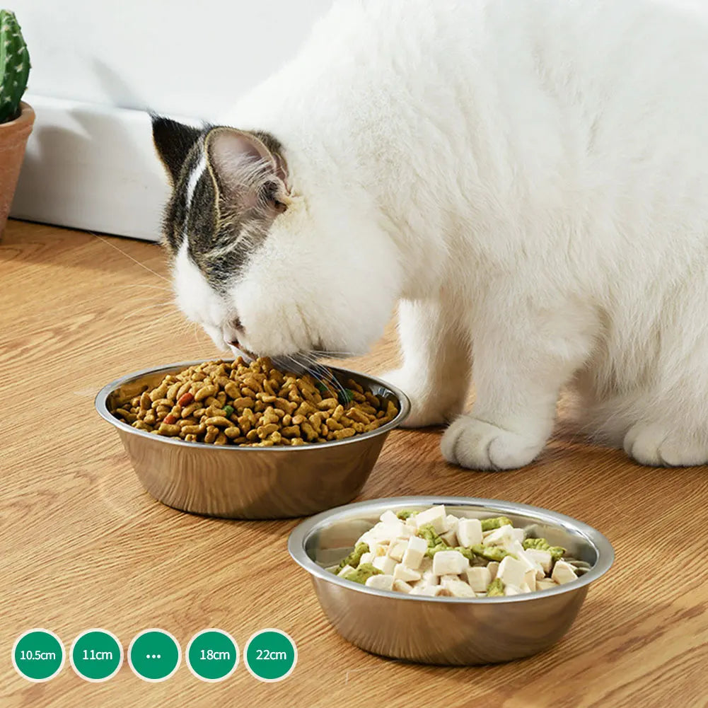 Stainless Steel Pet Feeding Bowl