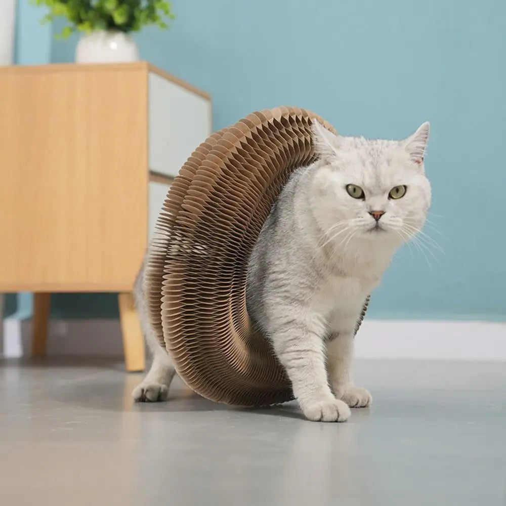 Magic Cat Scratching Board with Ball