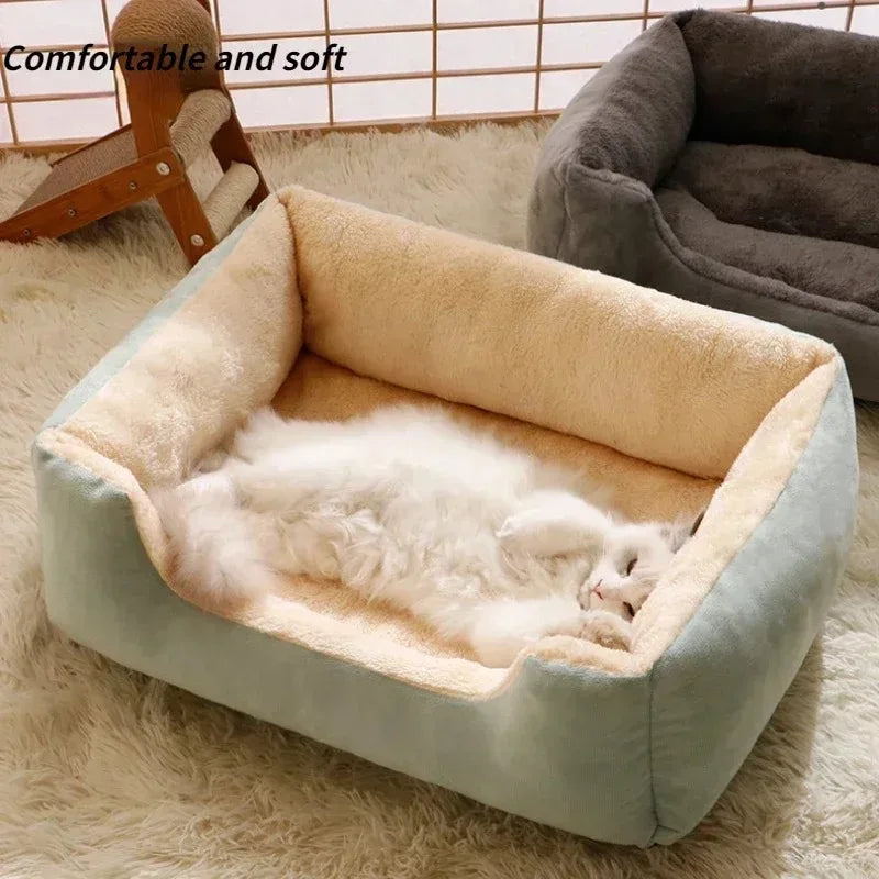 Cat & Puppy Bed β Warm, Soft & Stylish