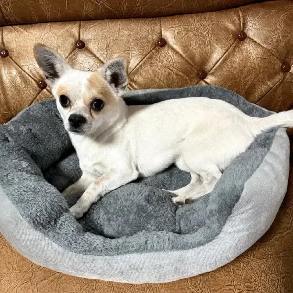 Pet Sofa Bed β Soft & Comfy