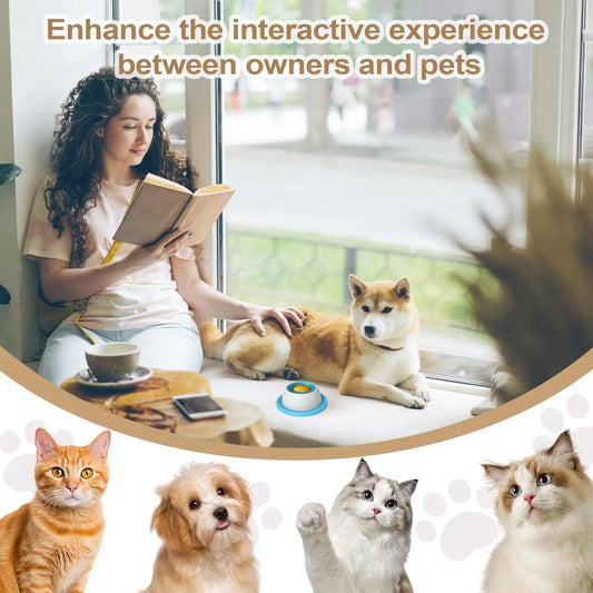 Interactive Slow Feeder Toy