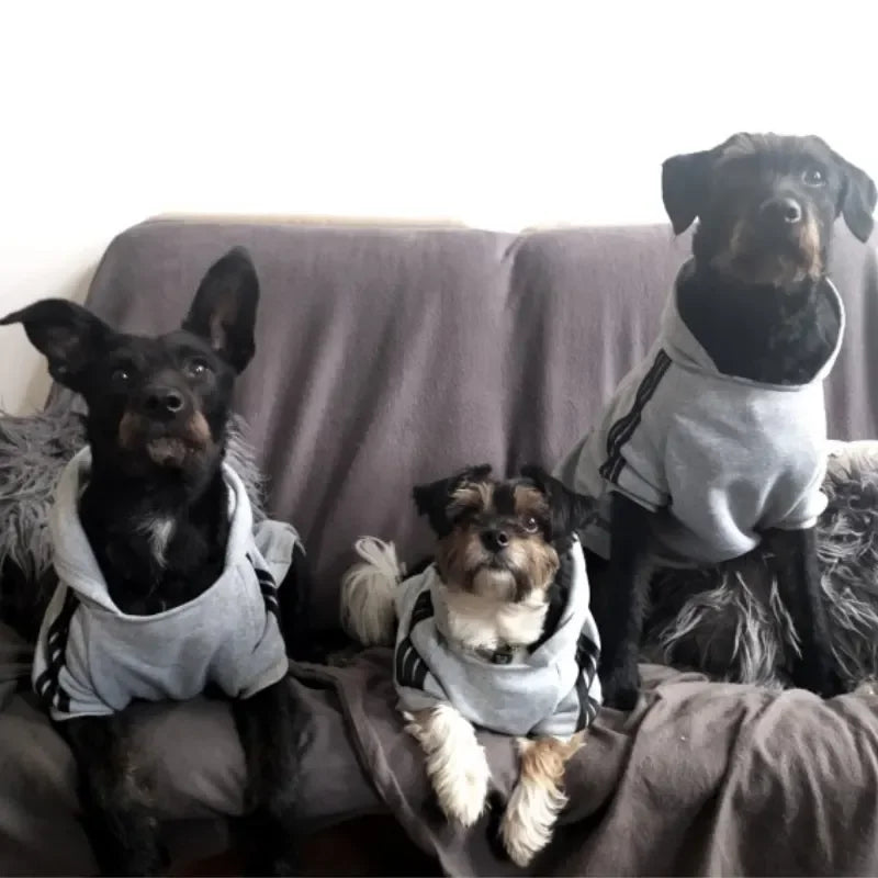 Adidas Dog Sweatshirt – All Sizes