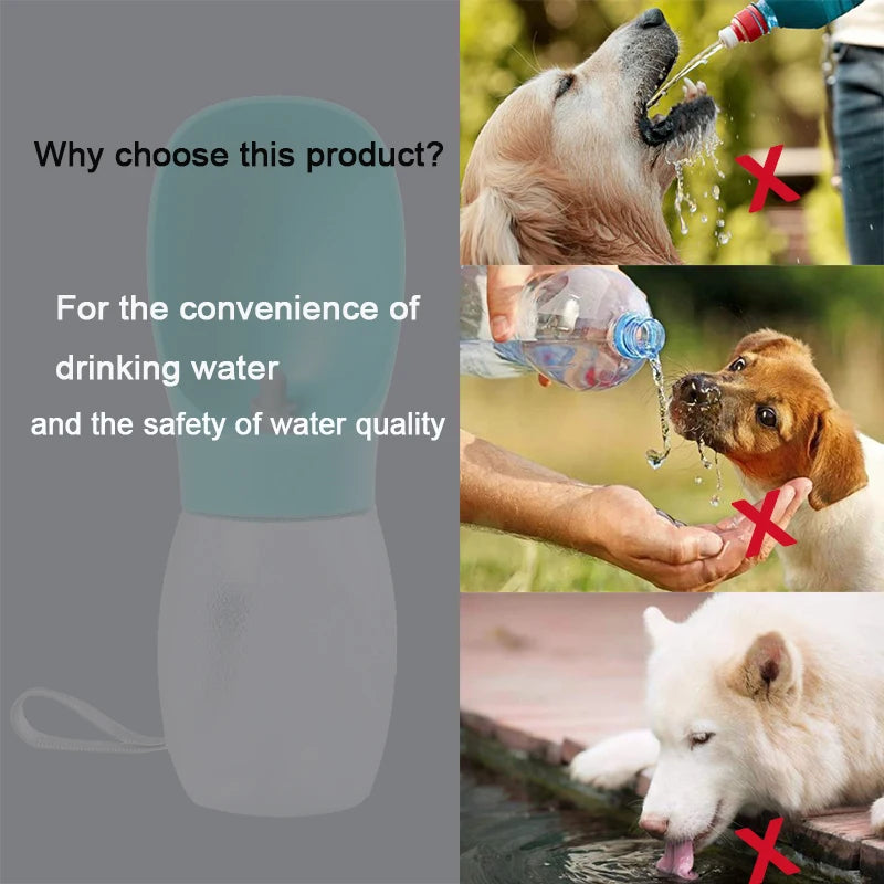 Portable Dog Water Bottle
