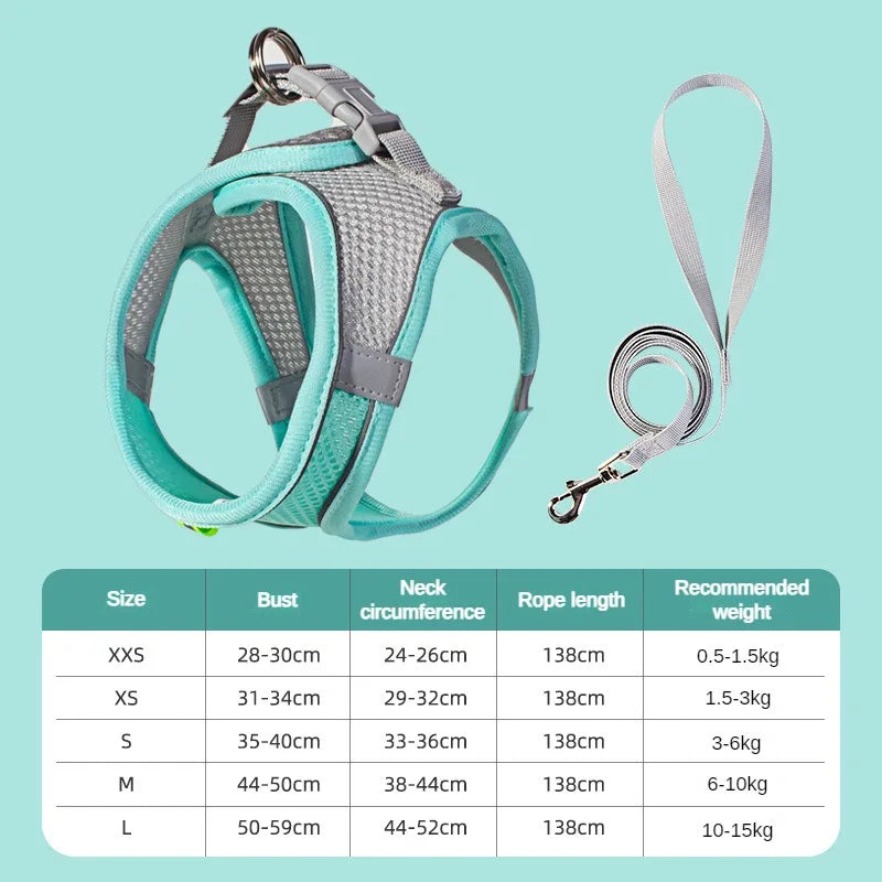 Adjustable Puppy & Cat Harness Set