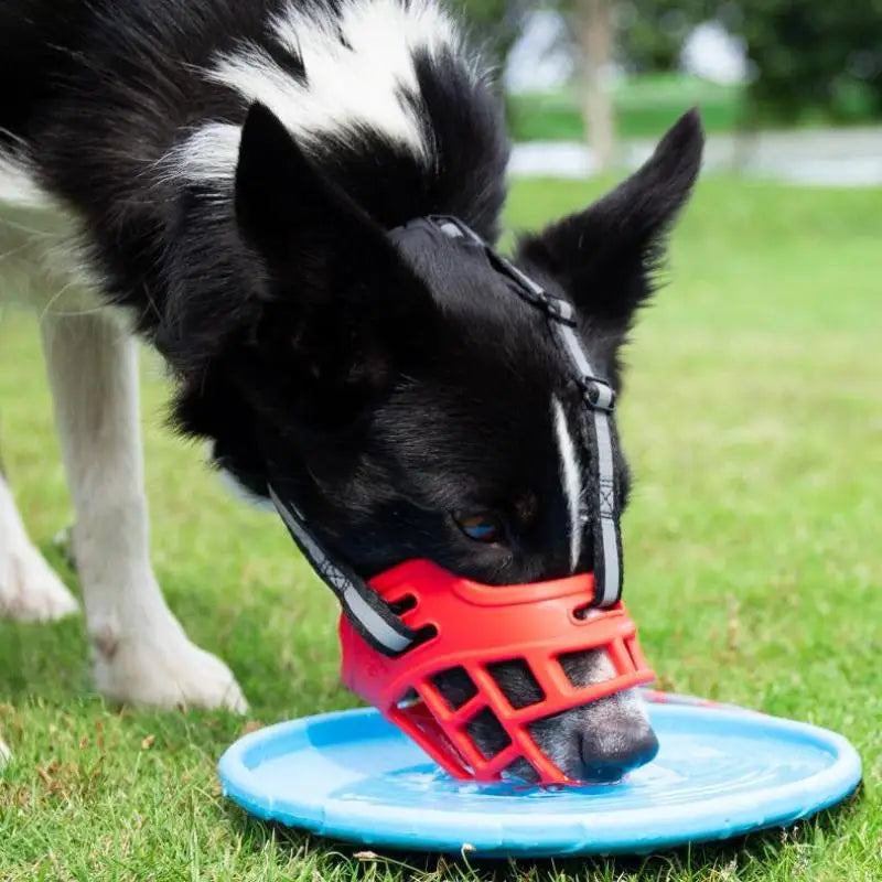 Training Dog Muzzle β Soft, Secure, Reflective