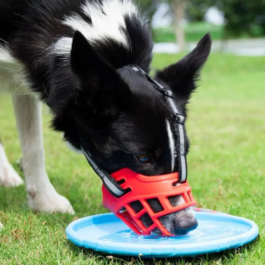 Training Dog Muzzle – Soft, Secure, Reflective