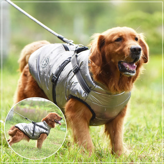 Winter Dog Jacket with Harness