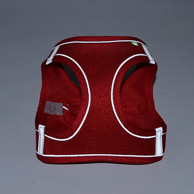Adjustable Puppy & Cat Harness Set