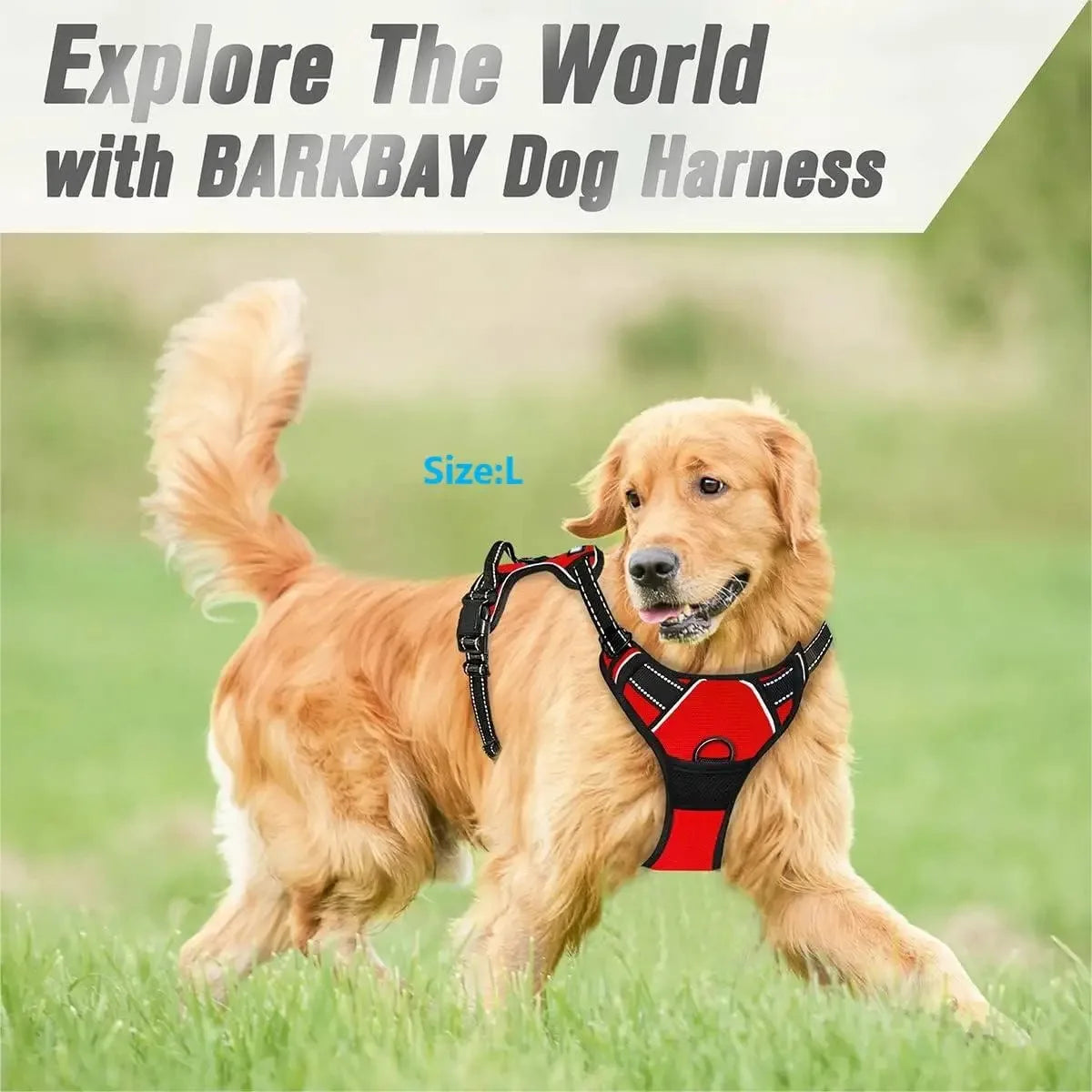 Harness Vest for Medium/Large Dogs