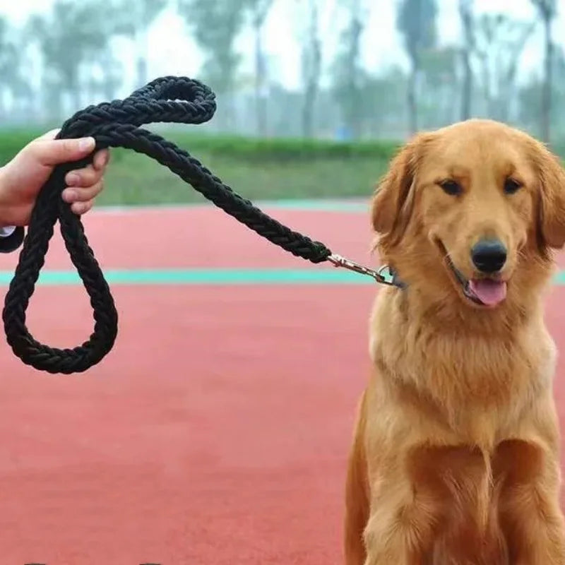 Durable Nylon Dog Leash – Strong & Eco-Friendly