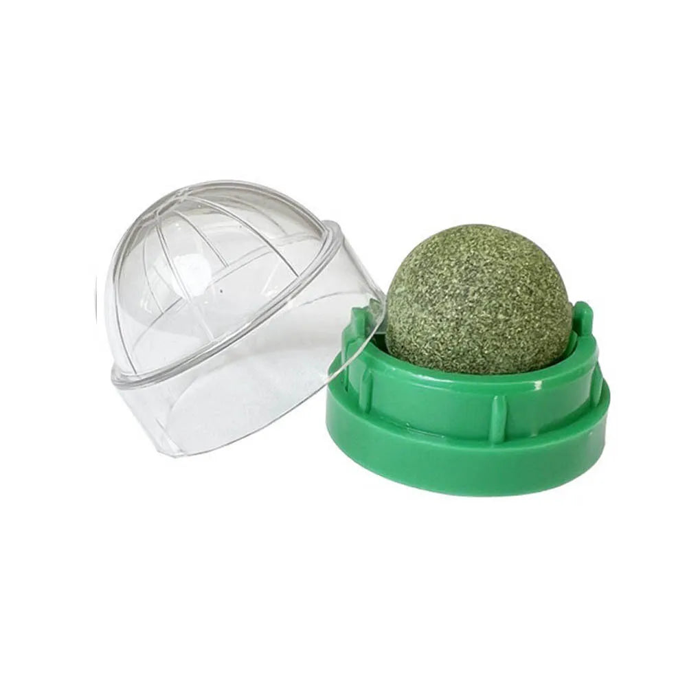 Stick-On Catnip Ball β Fun & Healthy Snack