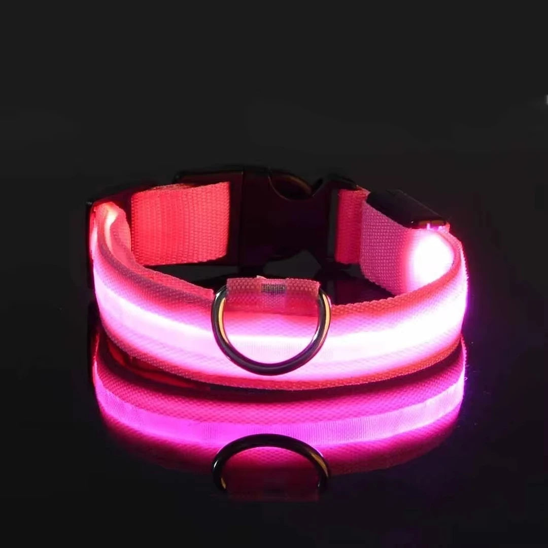 LED Glow Dog Collar – Reflective & Night-Safe