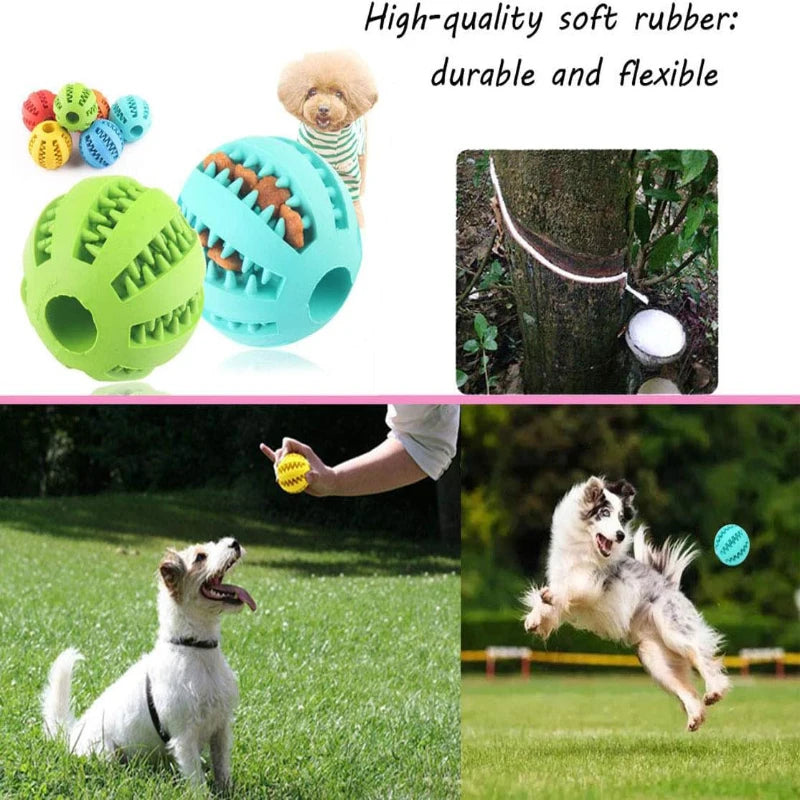 Chew Ball Toy β Treat Dispenser & Tooth Cleaner