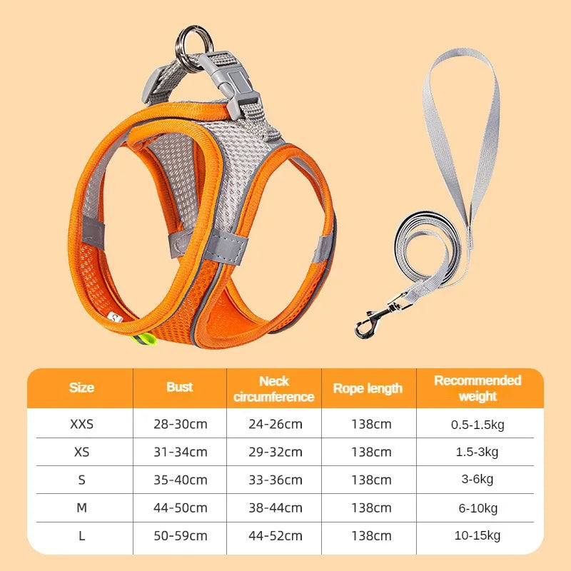Adjustable Puppy & Cat Harness Set