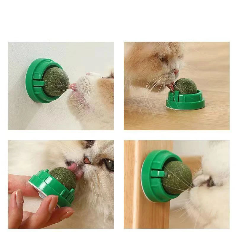 Stick-On Catnip Ball β Fun & Healthy Snack