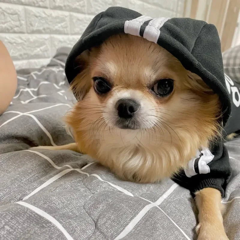 Adidas Dog Sweatshirt – All Sizes