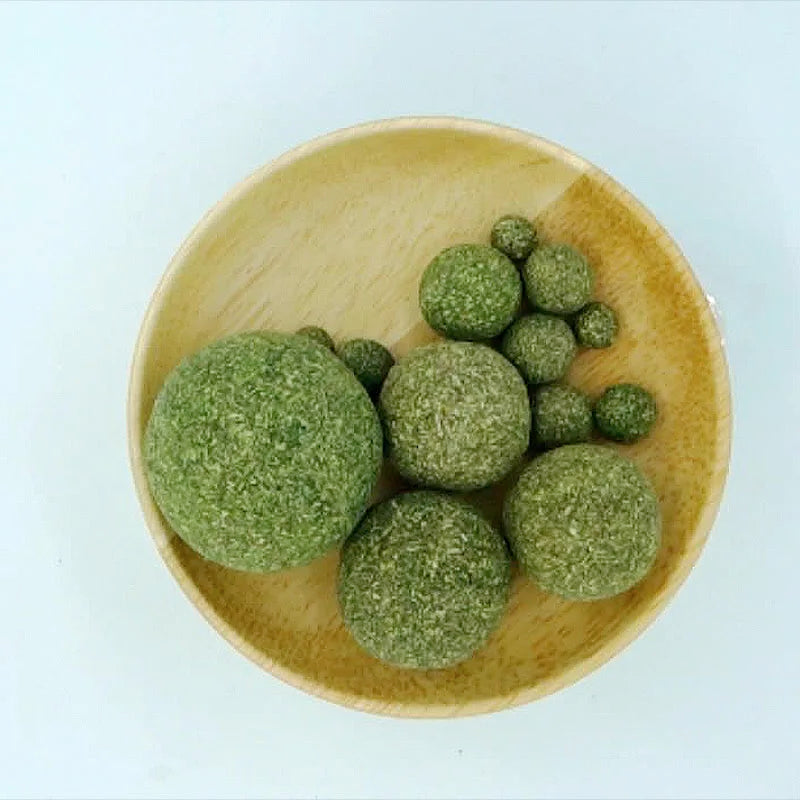 Catnip Mint Ball – Chew Toy & Tooth Cleaner