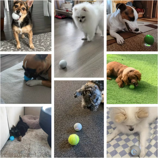Smart Interactive Pet Ball