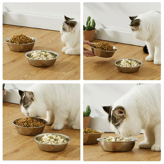 Stainless Steel Pet Feeding Bowl
