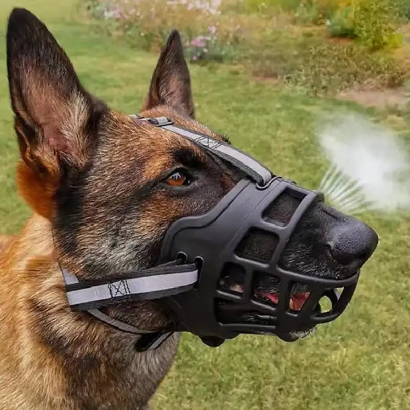 Training Dog Muzzle β Soft, Secure, Reflective