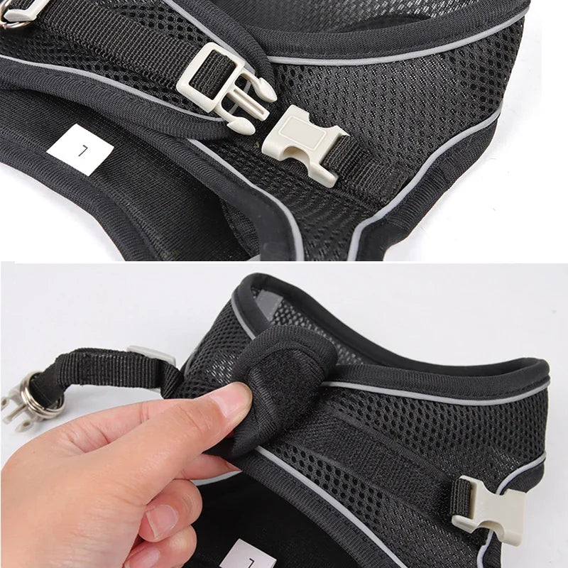 Adjustable Puppy & Cat Harness Set