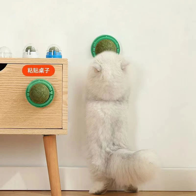 Stick-On Catnip Ball β Fun & Healthy Snack