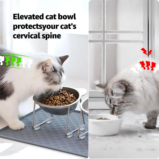 Elevated Stainless Steel Cat Bowl (15° Tilt)