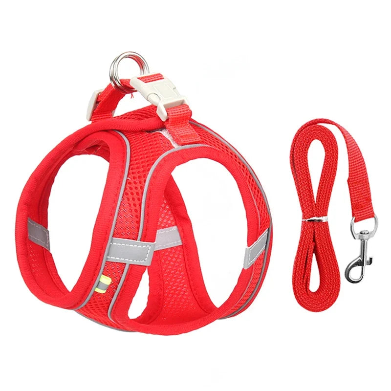 Adjustable Puppy & Cat Harness Set