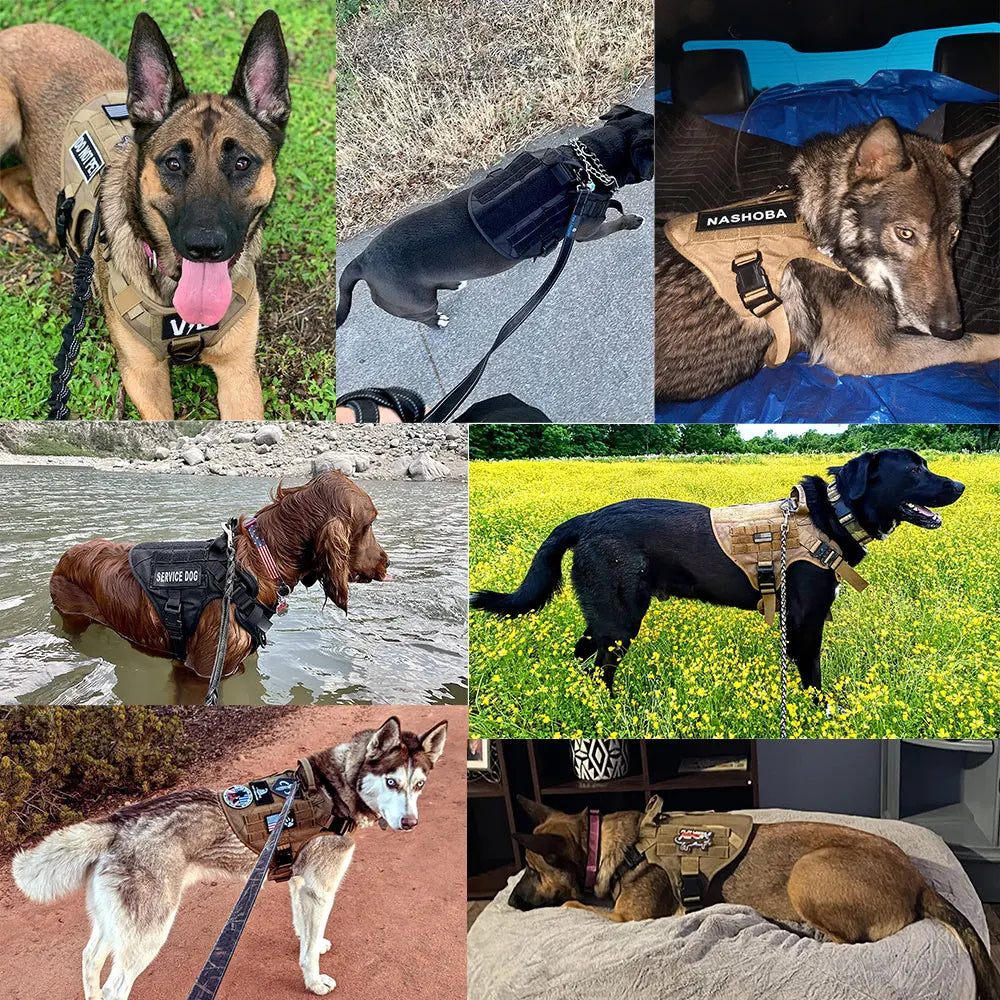 Tactical Dog Harness with Leash & Pouches