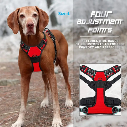 Harness Vest for Medium/Large Dogs