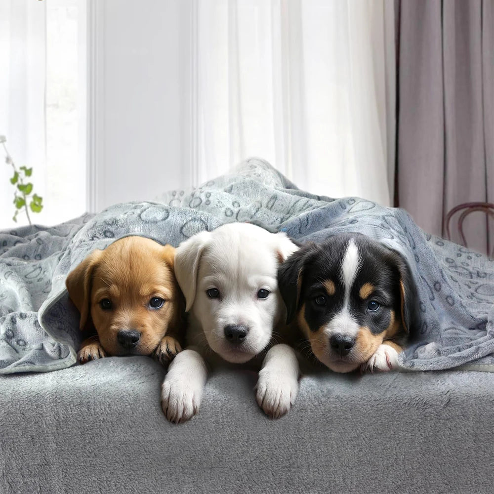 Ultra Soft Paw Print Pet Blanket β Indoor & Outdoor Use
