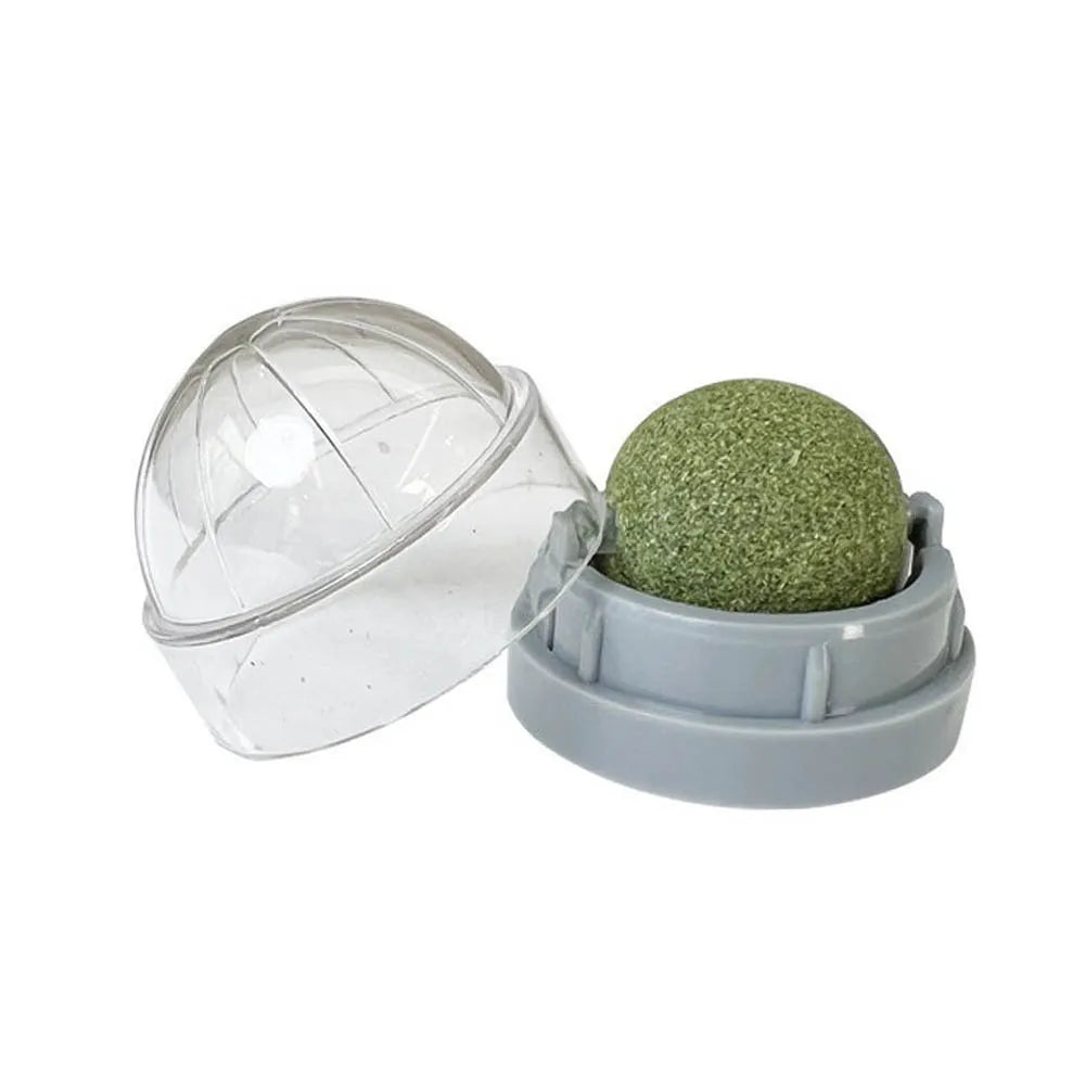 Stick-On Catnip Ball β Fun & Healthy Snack