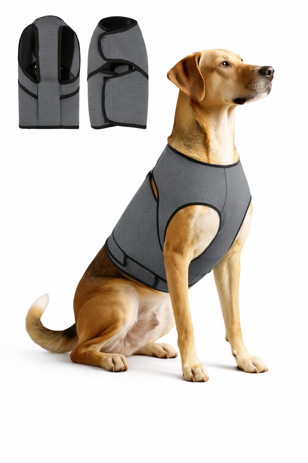 CalmWrap™ Calming Vest for Dogs