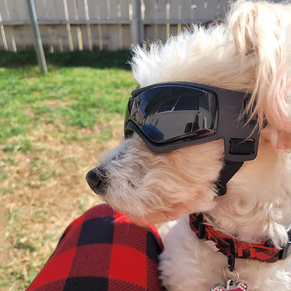 Pet UV Protection Goggles