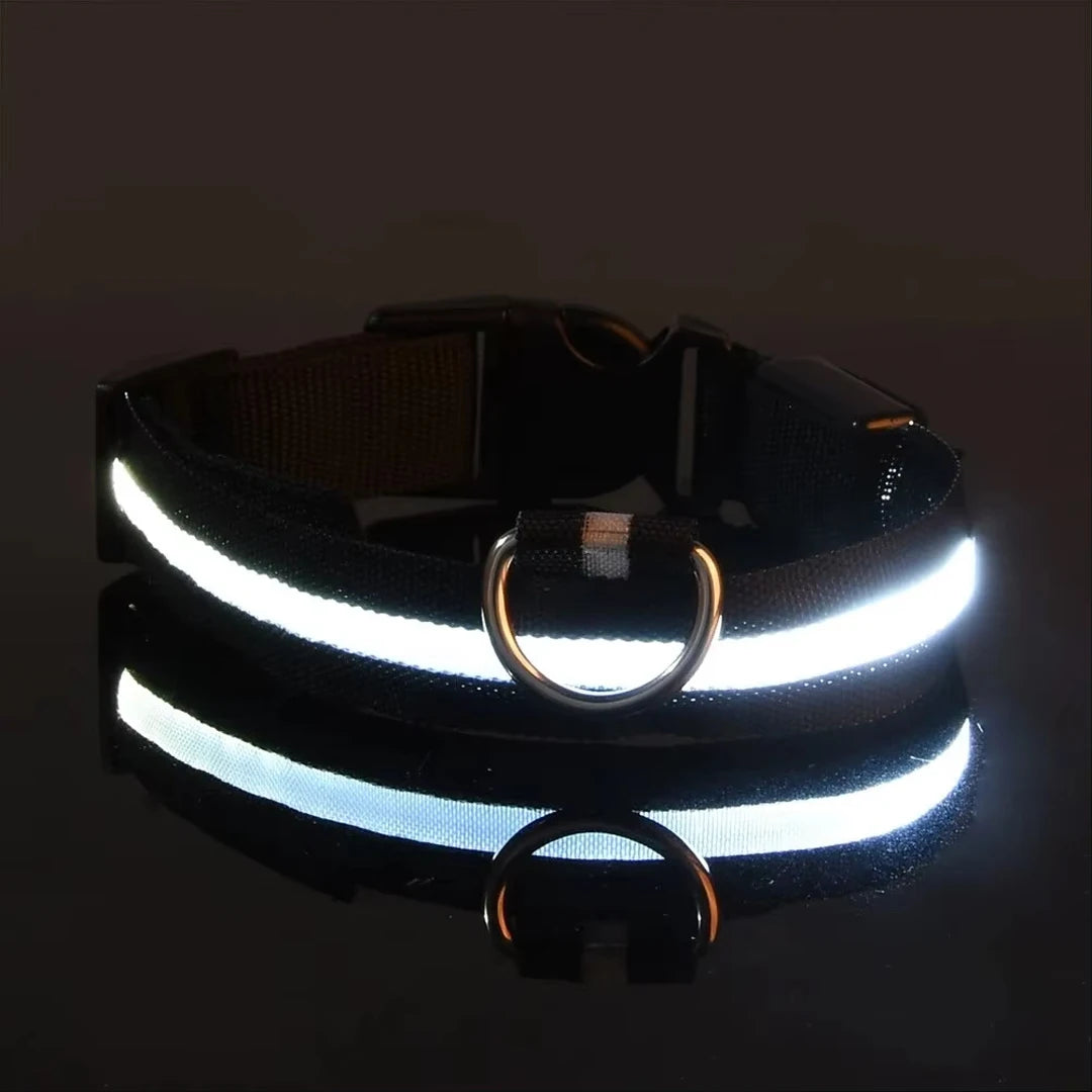 LED Glow Dog Collar – Reflective & Night-Safe