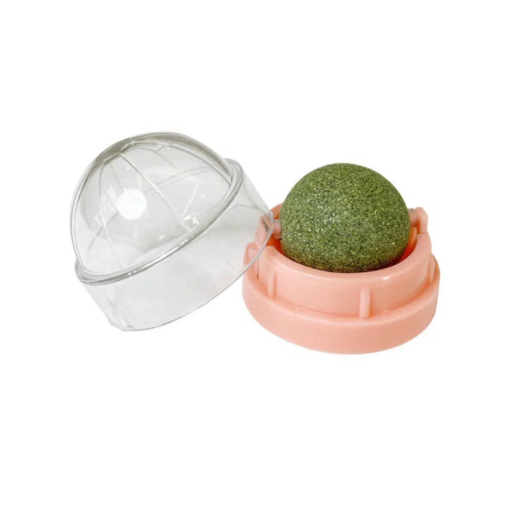 Stick-On Catnip Ball – Fun & Healthy Snack