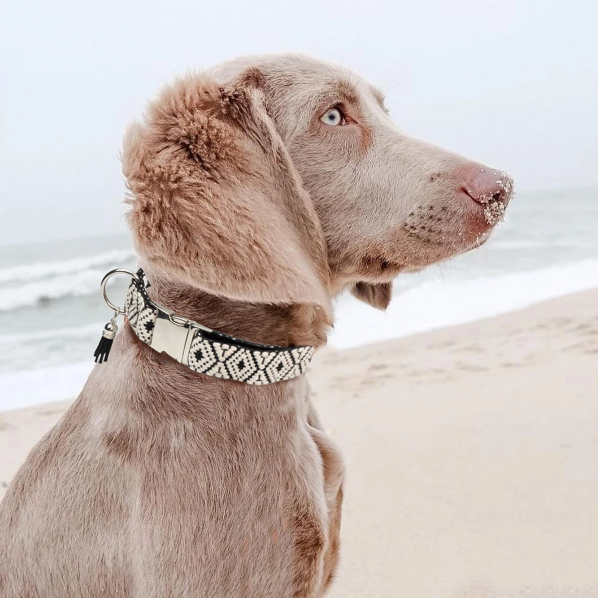 Bohemian Style Adjustable Dog Collar