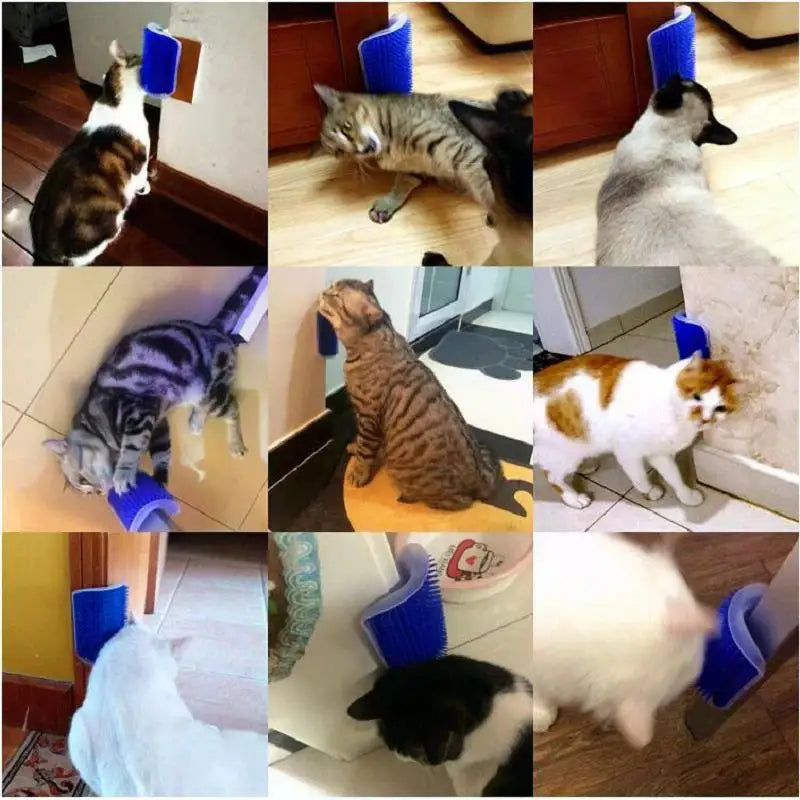 Wall-Mounted Cat Scratcher & Grooming Brush