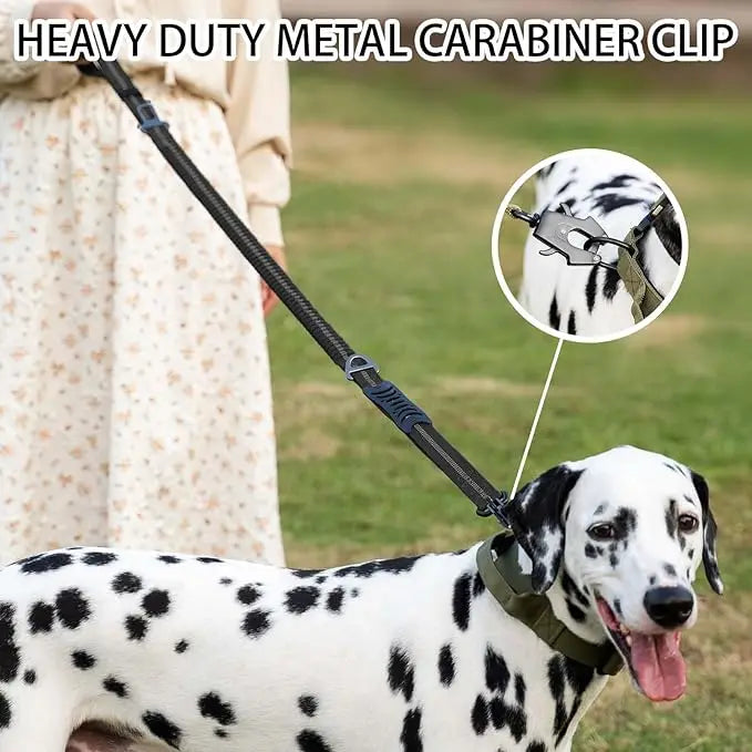 PowerFlex Tactical Dog Leash