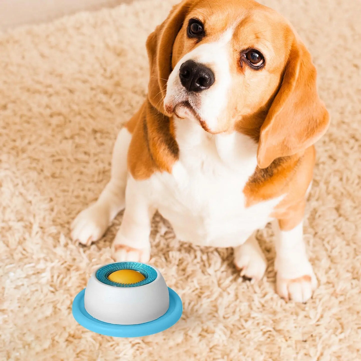 Interactive Slow Feeder Toy