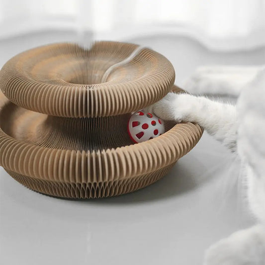 Magic Cat Scratching Board with Ball