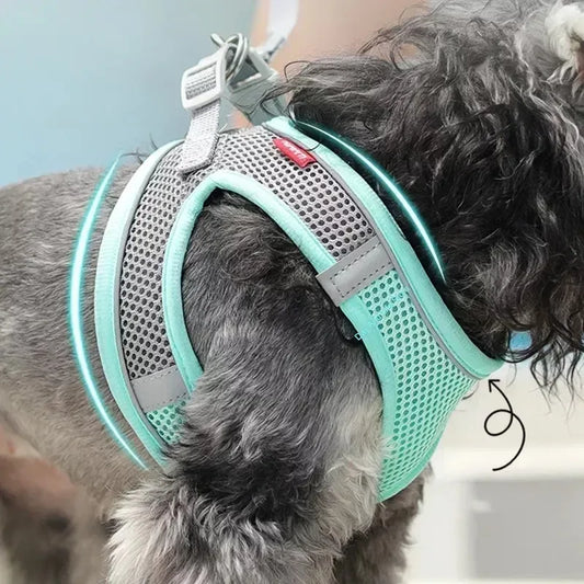 Adjustable Puppy & Cat Harness Set