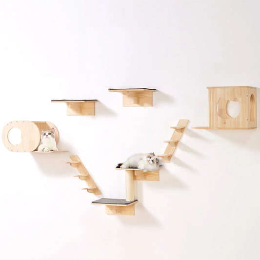 Wall-Mounted Cat Shelves & Playground Set