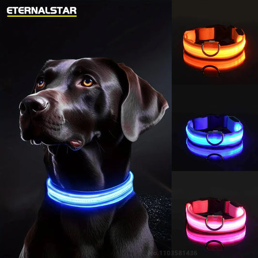 LED Glow Dog Collar – Reflective & Night-Safe