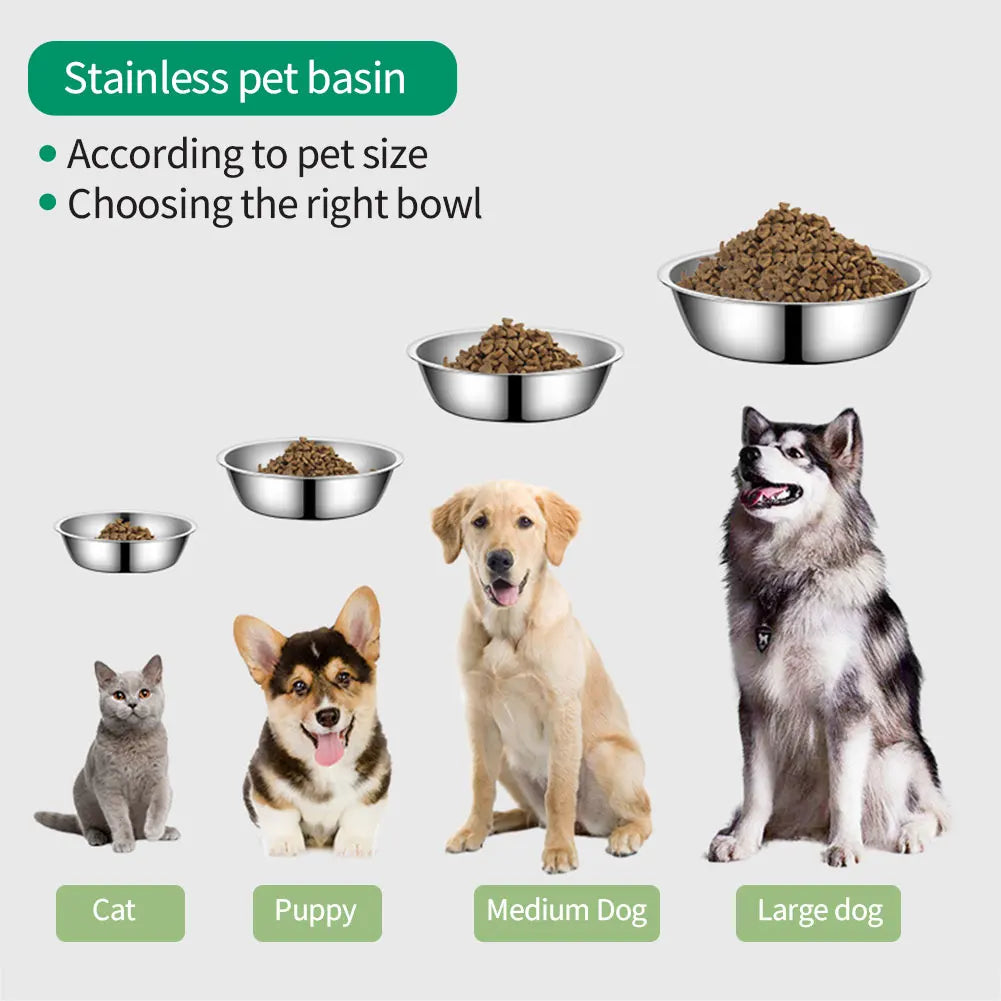 Stainless Steel Pet Feeding Bowl