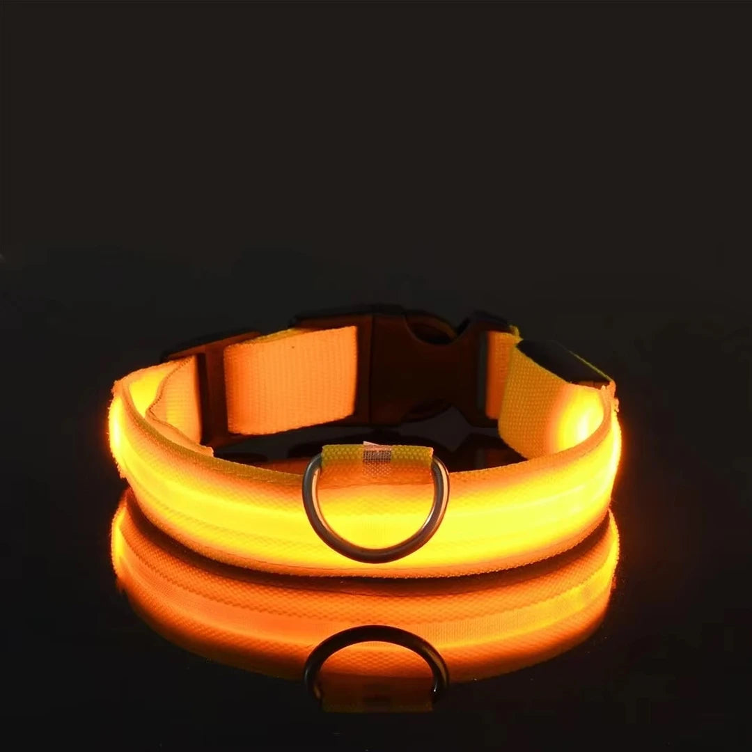 LED Glow Dog Collar – Reflective & Night-Safe
