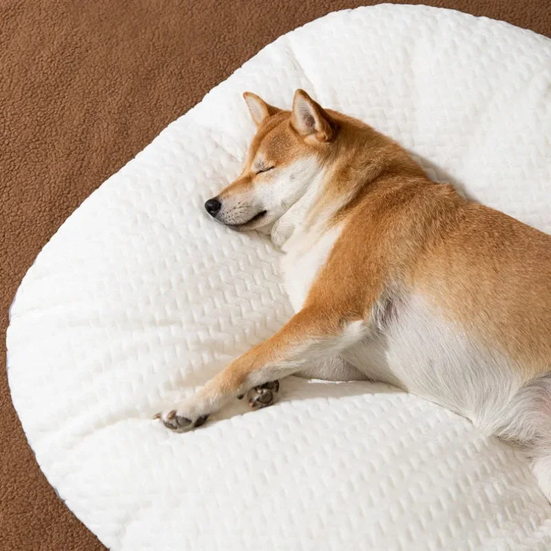 Warm Pet Sofa Bed for Dogs & Cats